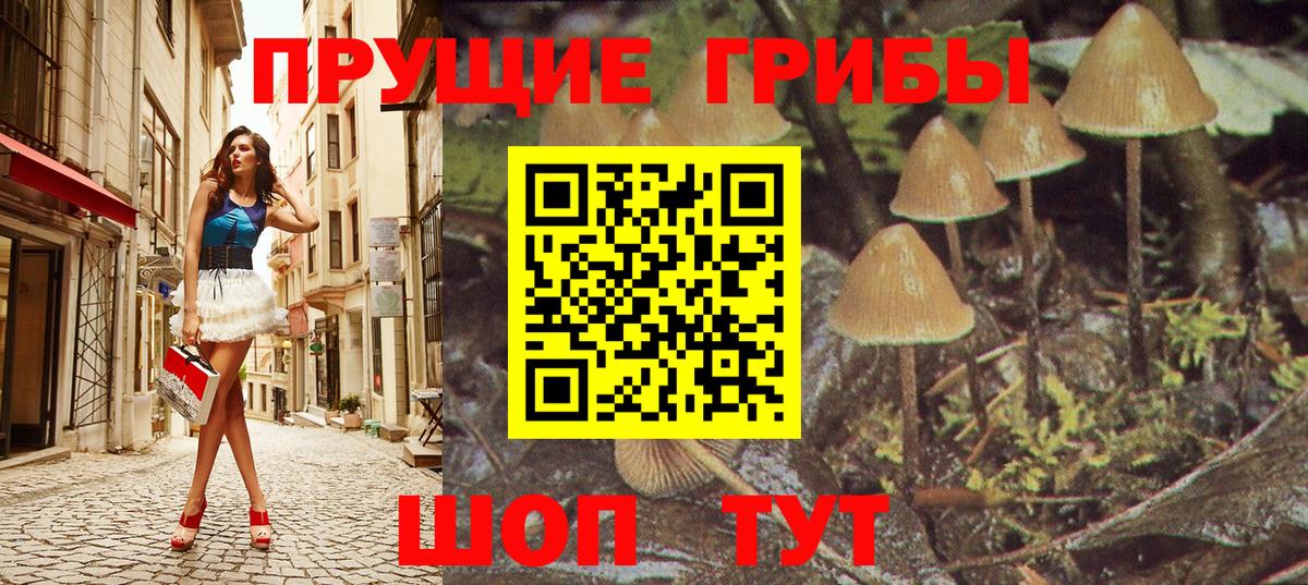 Галлюциногенные грибы ЛСД Бор