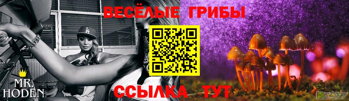 Галлюциногенные грибы мухоморы  Вход с VPN  Псилоцибиновые грибы Psilocybine cubensis  Бор 