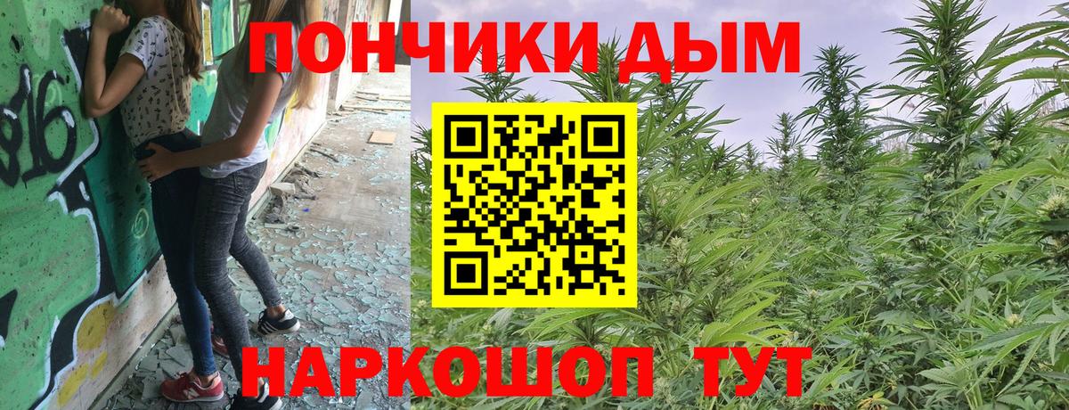Бор  МАРИХУАНА семена  Вход с VPN  Конопля индика  Марихуана SATIVA & INDICA 